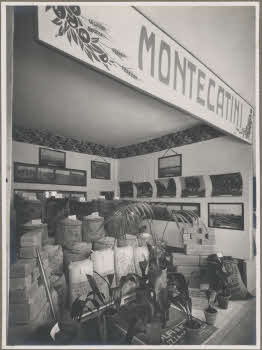 VE_ALBO_IV_FIERA_CAMPIONARIA_DI_TRIPOLI-91